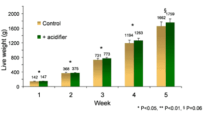 Gut Health Management in Poultry: Update on Natural Growth Promoters - Image 2
