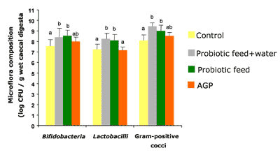 Gut Health Management in Poultry: Update on Natural Growth Promoters - Image 3