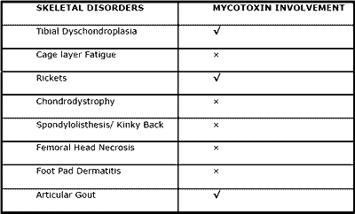 Effects of mycotoxins on the bone structure and leg weakness in poultry: estimation of the economic loss by leg weakness - Image 3