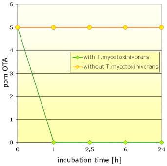 Occurrence of Mycotoxins in Commodities collected in Spain - Image 4