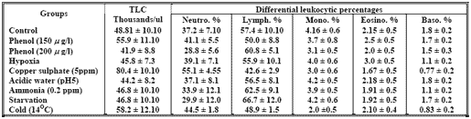 Hemolytic activity in blood serum of oreochromis niloticcus under different types of stress - Image 2