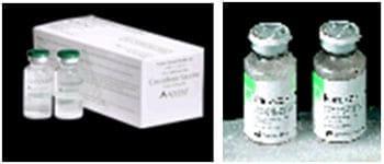 Coccidiosis in Poultry - Image 2