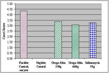 Coccidiosis in Poultry - Image 9
