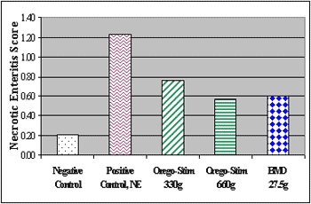 Coccidiosis in Poultry - Image 12