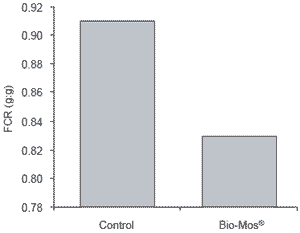 Influence of dietary Bio-Mos® on growth, survival and immune status of rainbow trout (Salmo gairdneri irideus G.) and common carp (Cyprinus carpio L.) - Image 3