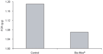 Influence of dietary Bio-Mos® on growth, survival and immune status of rainbow trout (Salmo gairdneri irideus G.) and common carp (Cyprinus carpio L.) - Image 6