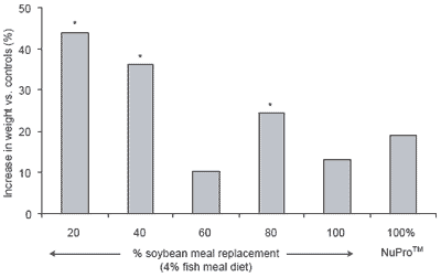 The organic aquaculture movement: a role for NuPro™ as an alternative protein source - Image 1
