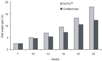 The organic aquaculture movement: a role for NuPro™ as an alternative protein source - Image 2