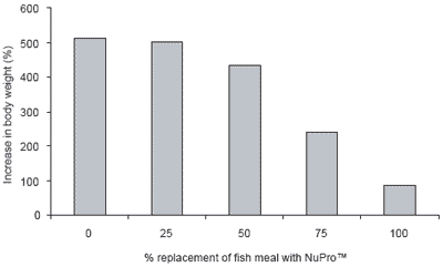 The organic aquaculture movement: a role for NuPro™ as an alternative protein source - Image 3