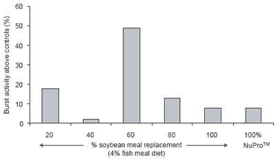 The organic aquaculture movement: a role for NuPro™ as an alternative protein source - Image 4