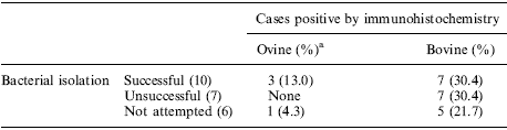 Demonstration of Listeria monocytogenes by Immunohistochemistry in Formalin-Fixed Brain Tissues from Natural Cases of Ovine and Bovine Encephalitis - Image 2