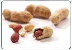FluoroQuant® Afla Plus Test Kit for Aflatoxin Testing Granted Performance TestedSM Status by AOAC - Image 2