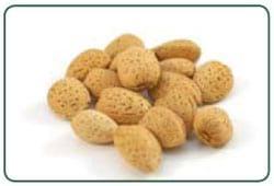 FluoroQuant® Afla Plus Test Kit for Aflatoxin Testing Granted Performance TestedSM Status by AOAC - Image 4