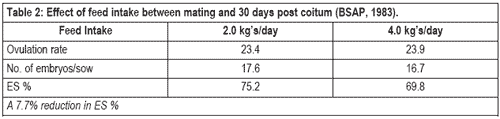 Challenges in feeding the modern sow - Image 2