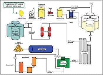 Distillers grains in cattle diets: Opportunity or Challenges - Image 11