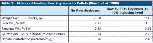 Effective use of full fat soya in poultry diets: A global perspective - Image 1