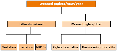 Well-known and new approaches to Biomin® pHD - Image 4