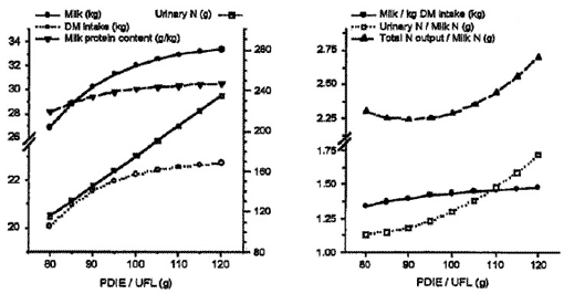 Optimization of feeding systems for dairy cattle (comparative analysis) - Image 5