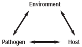 Good farming practices to prevent or minimise mycotoxin contamination - Image 1