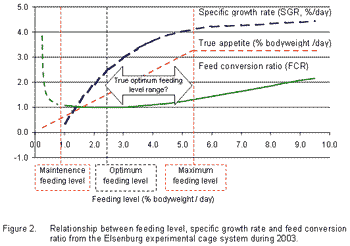Towards better aquafeeds and feeding management practices in Southern Africa - Image 4