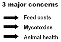 The new energy crisis: food, feed, or fuel? Will ethanol displace gasoline or simply take food off our plates and feed from our animals? How can new technologies help? - Image 1