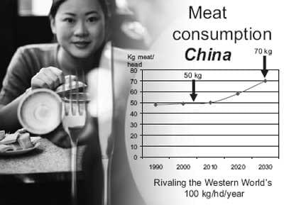 The new energy crisis: food, feed, or fuel? Will ethanol displace gasoline or simply take food off our plates and feed from our animals? How can new technologies help? - Image 6