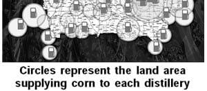 The new energy crisis: food, feed, or fuel? Will ethanol displace gasoline or simply take food off our plates and feed from our animals? How can new technologies help? - Image 10