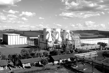 The new energy crisis: food, feed, or fuel? Will ethanol displace gasoline or simply take food off our plates and feed from our animals? How can new technologies help? - Image 16