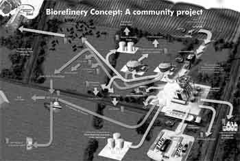The new energy crisis: food, feed, or fuel? Will ethanol displace gasoline or simply take food off our plates and feed from our animals? How can new technologies help? - Image 21