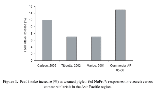 Bridging the post-weaning piglet growth gap: the NuPro® experience in the Asia Pacific region - Image 3