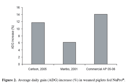 Bridging the post-weaning piglet growth gap: the NuPro® experience in the Asia Pacific region - Image 4