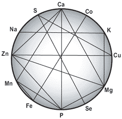 Nutritional approaches to maximize fertility in modern pig genotypes - Image 6