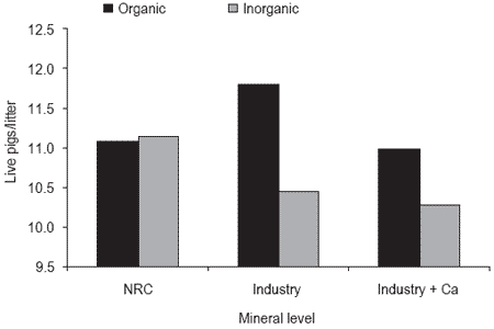 Nutritional approaches to maximize fertility in modern pig genotypes - Image 11