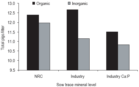 Pressures on mineral reserves: what’s the best way to meet the needs of highly prolific sows? - Image 1