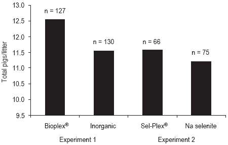Pressures on mineral reserves: what’s the best way to meet the needs of highly prolific sows? - Image 2