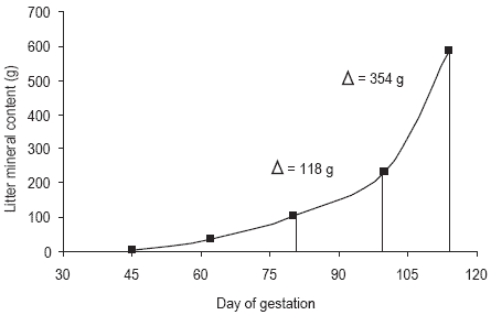 Pressures on mineral reserves: what’s the best way to meet the needs of highly prolific sows? - Image 6