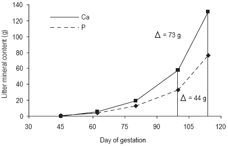 Pressures on mineral reserves: what’s the best way to meet the needs of highly prolific sows? - Image 7