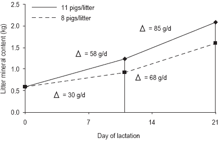 Pressures on mineral reserves: what’s the best way to meet the needs of highly prolific sows? - Image 10