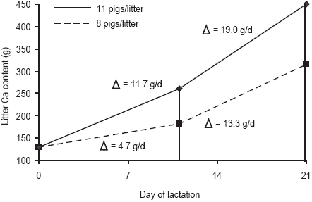 Pressures on mineral reserves: what’s the best way to meet the needs of highly prolific sows? - Image 11