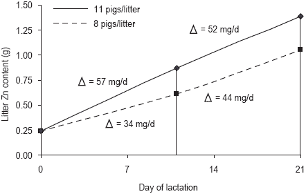 Pressures on mineral reserves: what’s the best way to meet the needs of highly prolific sows? - Image 12