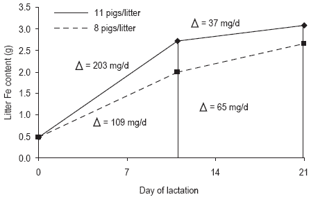 Pressures on mineral reserves: what’s the best way to meet the needs of highly prolific sows? - Image 13