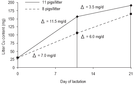 Pressures on mineral reserves: what’s the best way to meet the needs of highly prolific sows? - Image 14