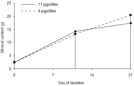 Pressures on mineral reserves: what’s the best way to meet the needs of highly prolific sows? - Image 15