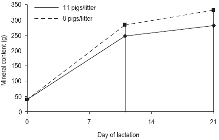 Pressures on mineral reserves: what’s the best way to meet the needs of highly prolific sows? - Image 16