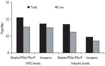 Defining organic mineral requirements for pigs - Image 2