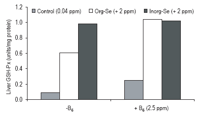Selenium metabolism, the glutathione peroxidase system and their interaction with some B vitamins in pigs - Image 6