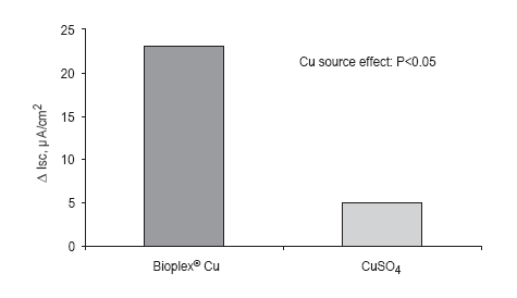 Understanding organic mineral uptake mechanisms: experiments with Bioplex® Cu - Image 3