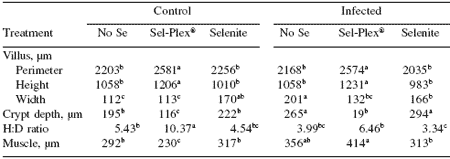 Sel-Plex® maintains small intestine integrity in reovirusinfected broiler chickens - Image 5