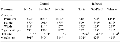 Sel-Plex® maintains small intestine integrity in reovirusinfected broiler chickens - Image 6