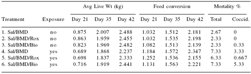 Control of coccidiosis and performance enhancement in poultry in a post-arsenic world - Image 1